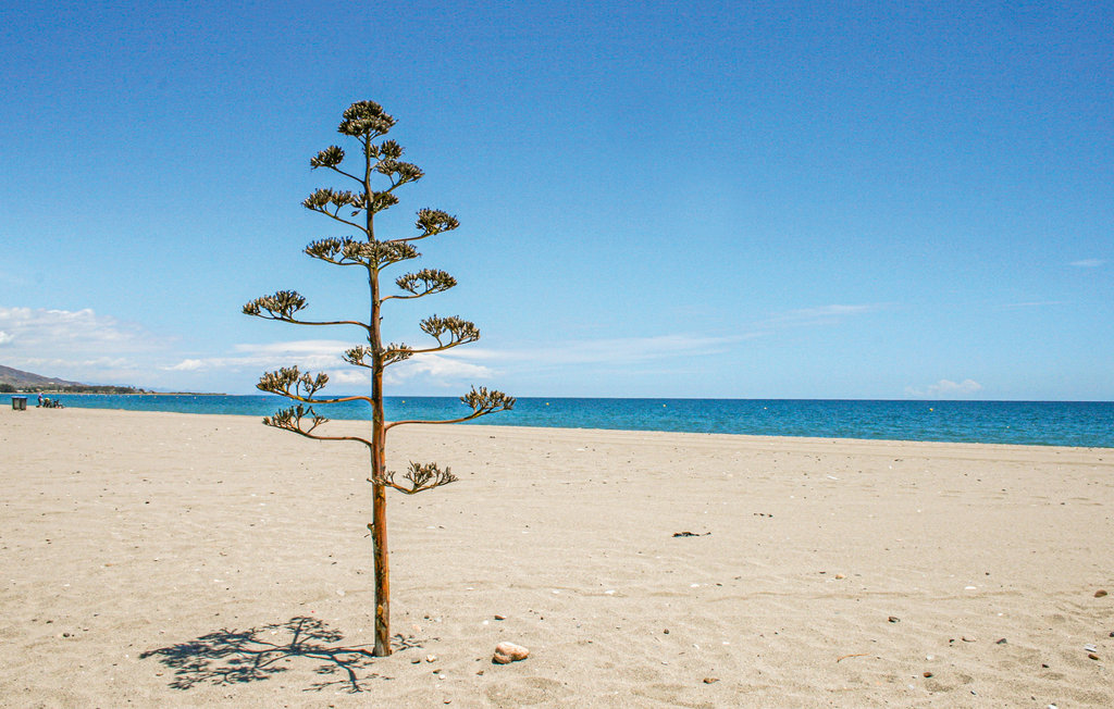 Ferienwohnung - Vera , Spanien - EAM230 19