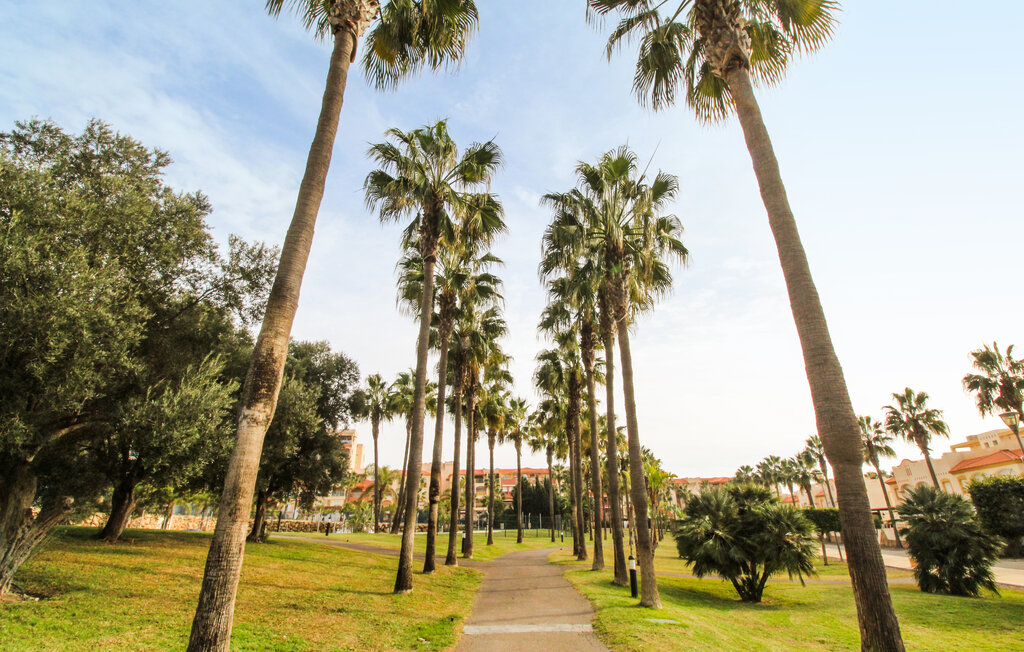 Ferienwohnung - Almerimar , Spanien - EAM236 7