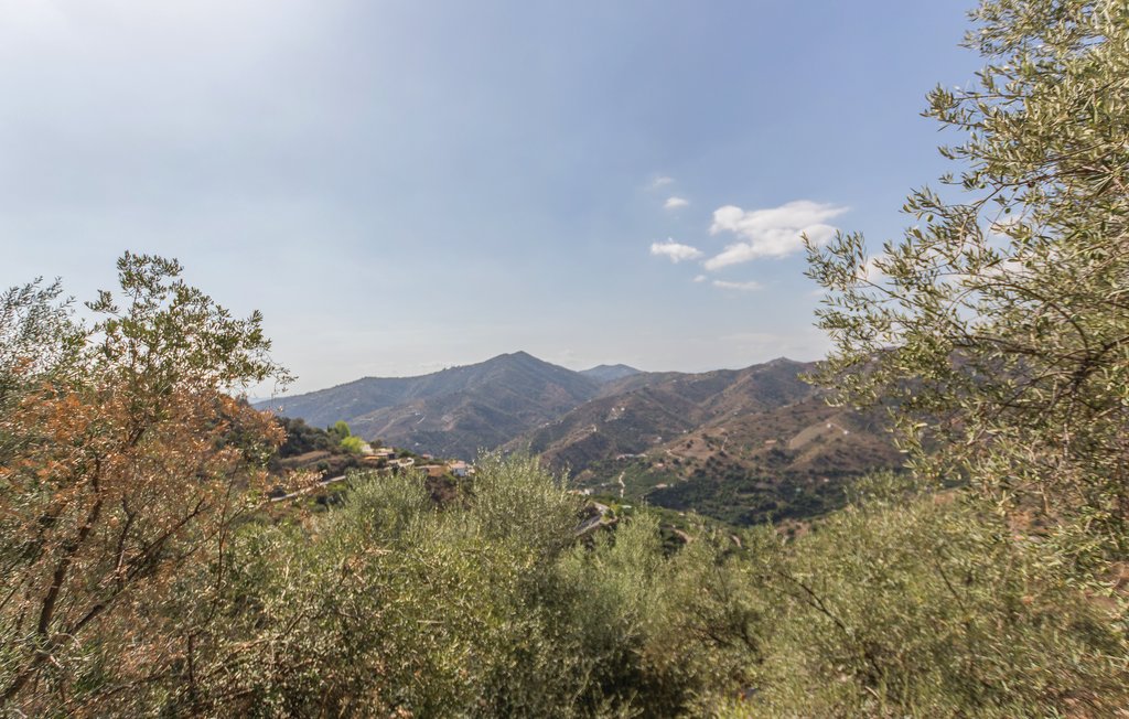 Feriehuse - Sayalonga , Spanien - EAN730 14