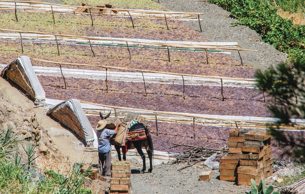 Feriehus - El Borge , Spania - EAN135 32