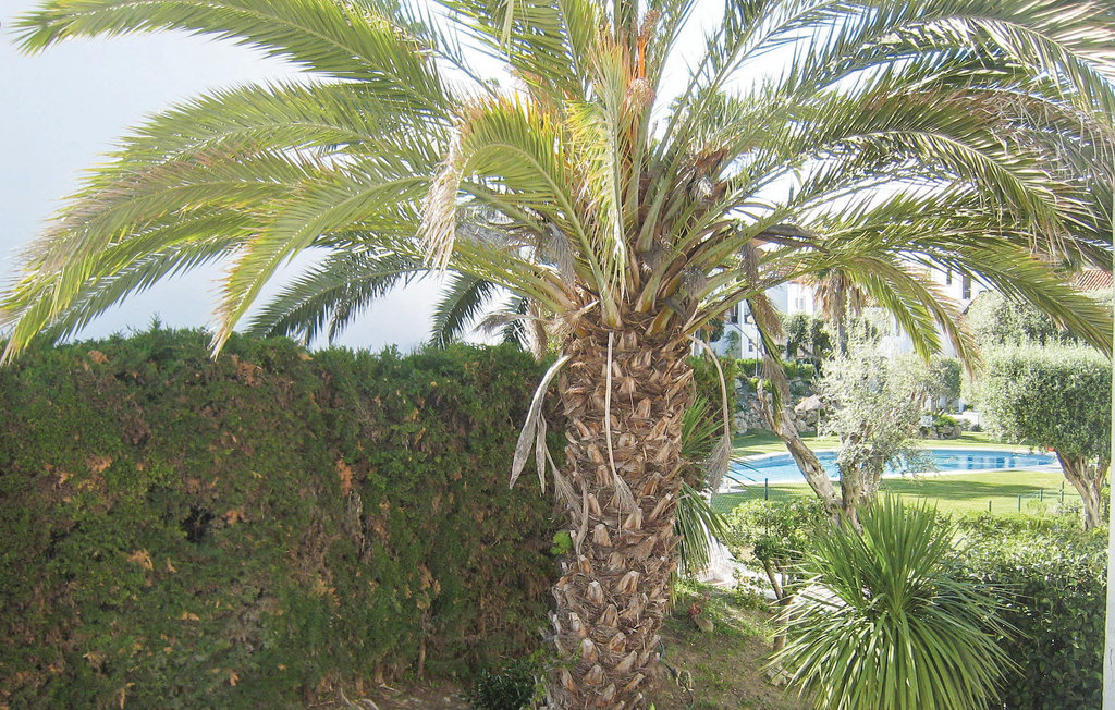 Feriehus - Estepona , Spania - EAN465 10