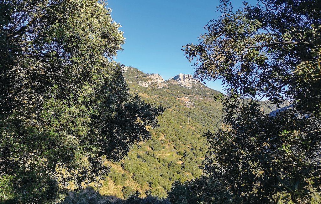 Feriehuse - Benalauria , Spanien - EAS182 13