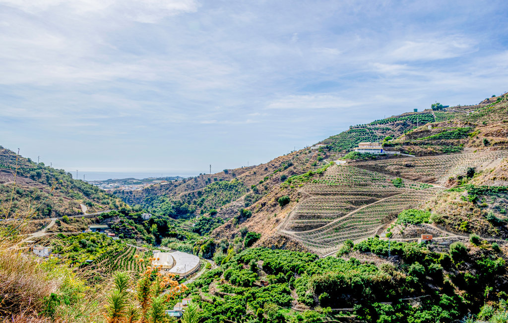 Feriehus - Sayalonga , Spania - EAS338 23