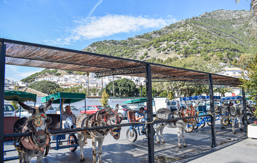 Feriehus - Mijas Costa , Spania - EAS373 36