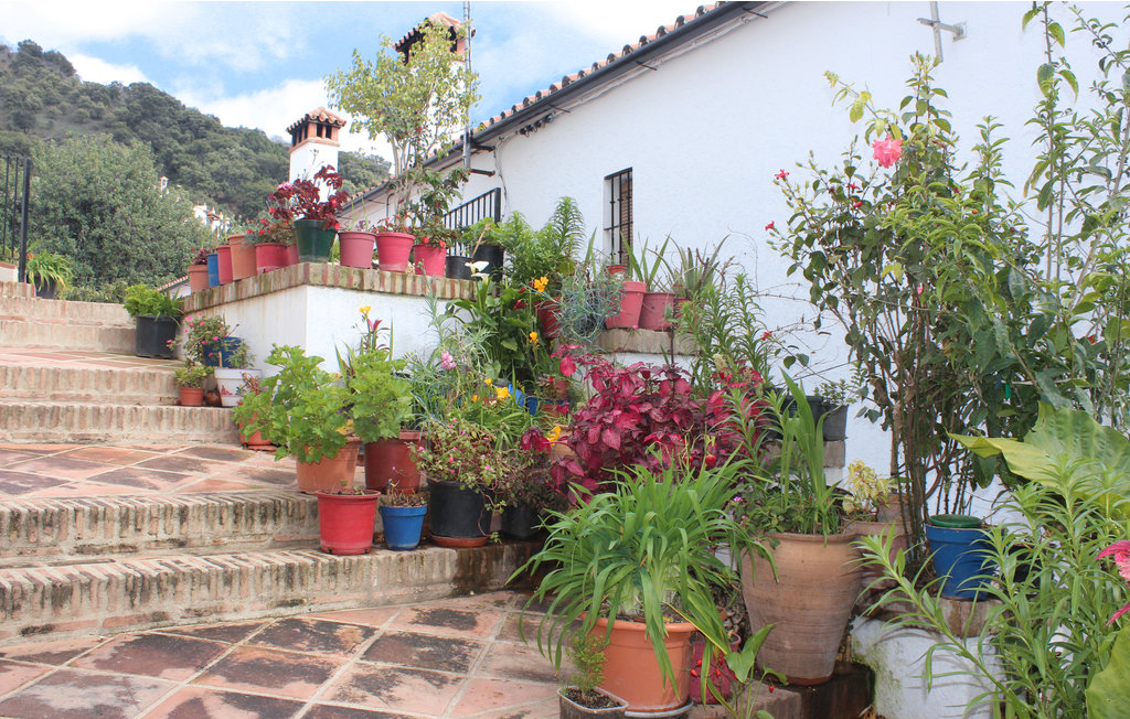 Lejlighed - Genalguacil , Spanien - EAS553 15