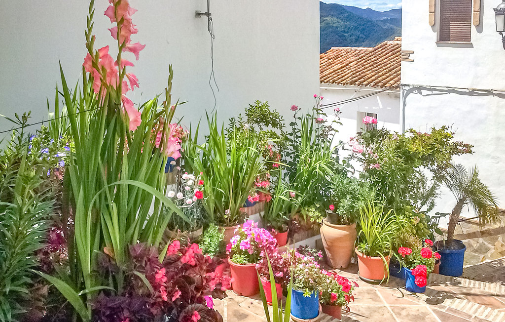 Ferieleilighet - Genalguacil , Spania - EAS551 11