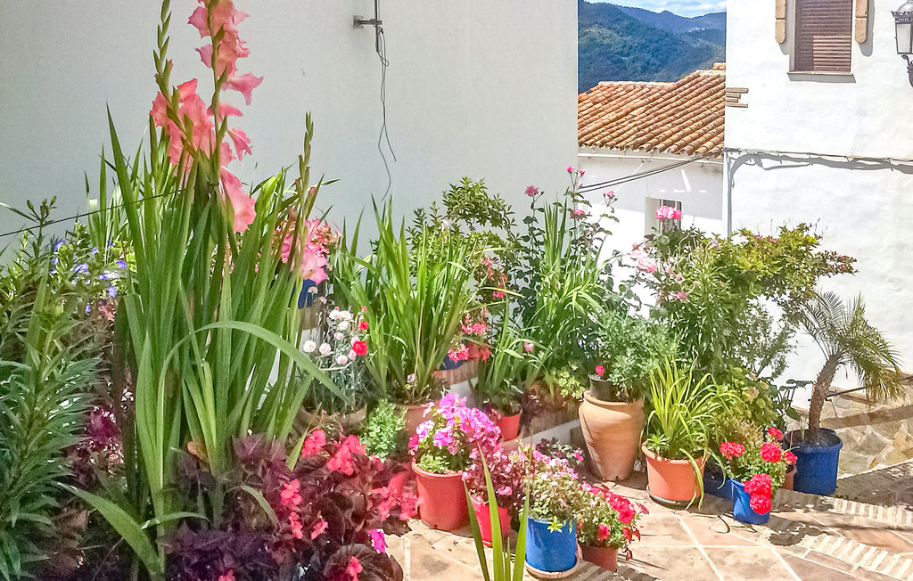 Lejlighed - Genalguacil , Spanien - EAS552 11