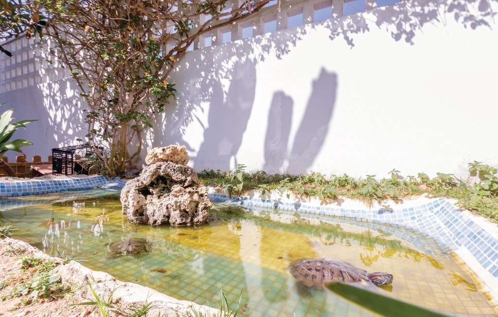 Feriehuse - Almuñecar , Spanien - EAT037 37