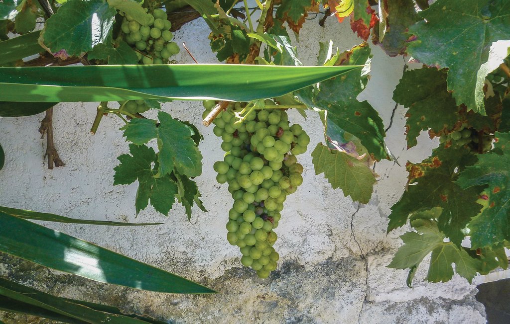 Feriehuse - Almuñecar , Spanien - EAT001 20