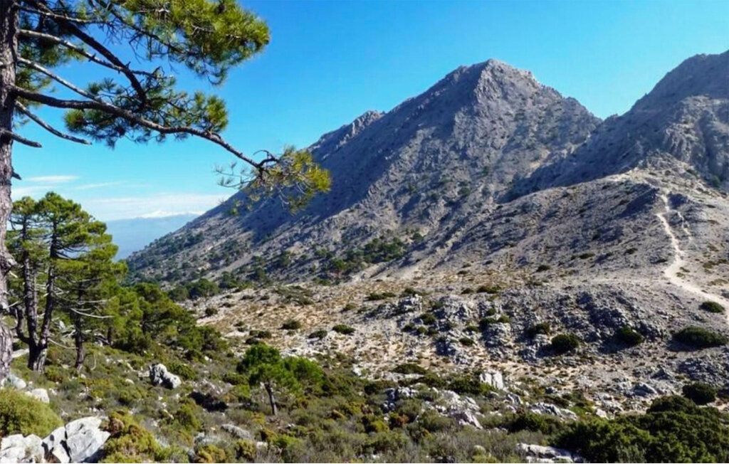 Feriehuse - Restabal , Spanien - EAT113 31