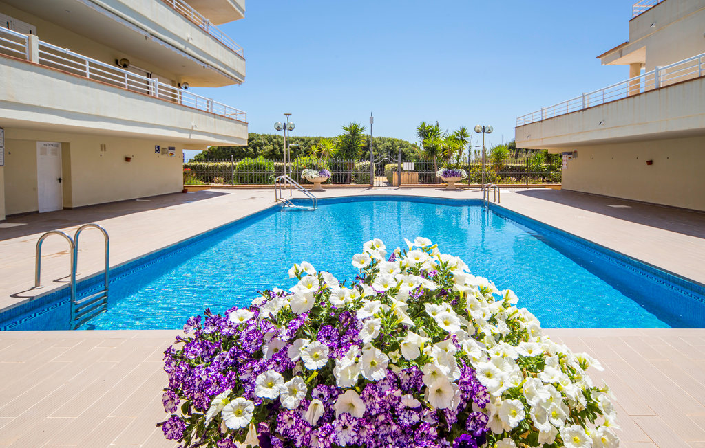 Ferienwohnung - Alcossebre , Spanien - EBA230 6