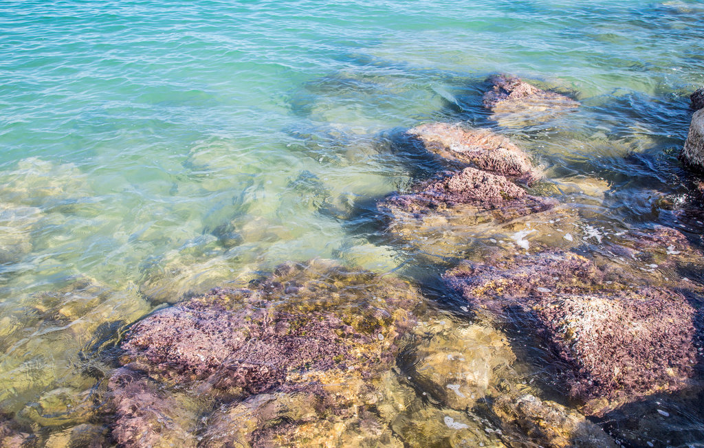 Lejlighed - Benicarló Playa , Spanien - EBA338 15