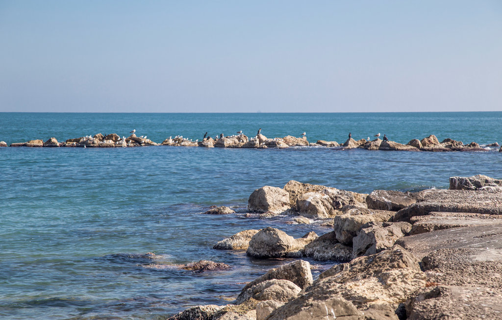 Lejlighed - Vinaroz Puerto Deportivo , Spanien - EBA354 19