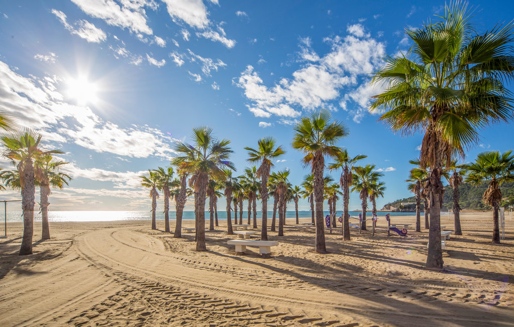 Lejlighed - Oropesa del Mar , Spanien - EBA355 8
