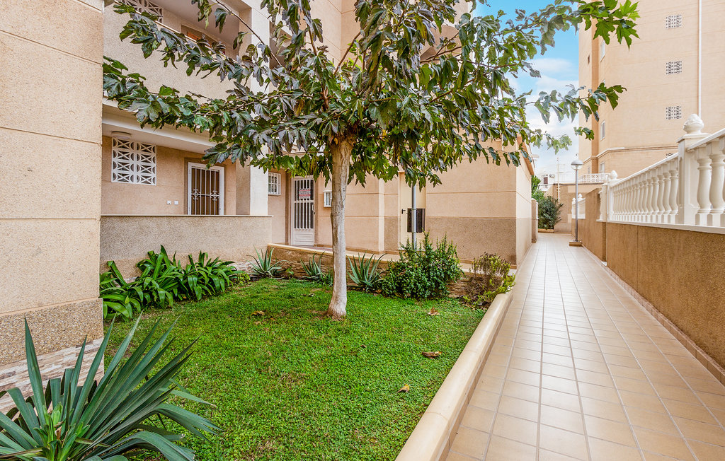 Lejlighed - Torrevieja 03188 Alicante Esp , Spanien - EBC056 12