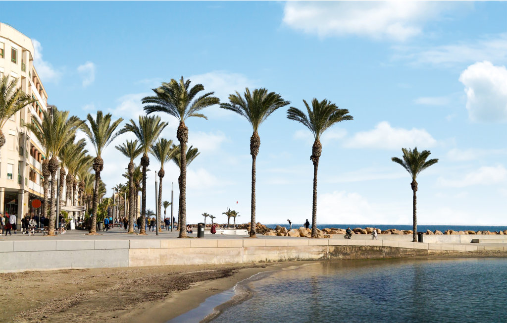 Lejlighed - Torrevieja , Spanien - EBC045 17