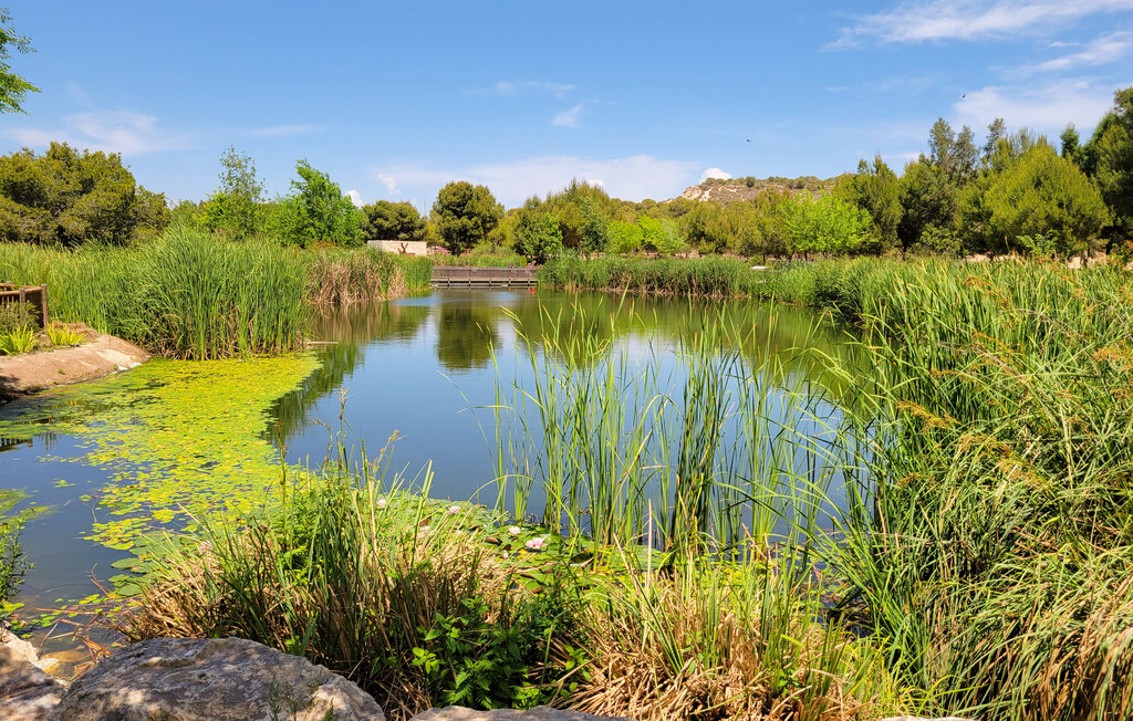 Domy wakacyjne - Ciudad Quesada - Rojales , Hiszpania - EBC185 26