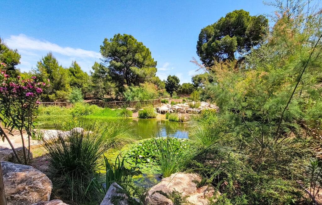 Location de vacances - Ciudad Quesada - Rojales , Espagne - EBC197 12