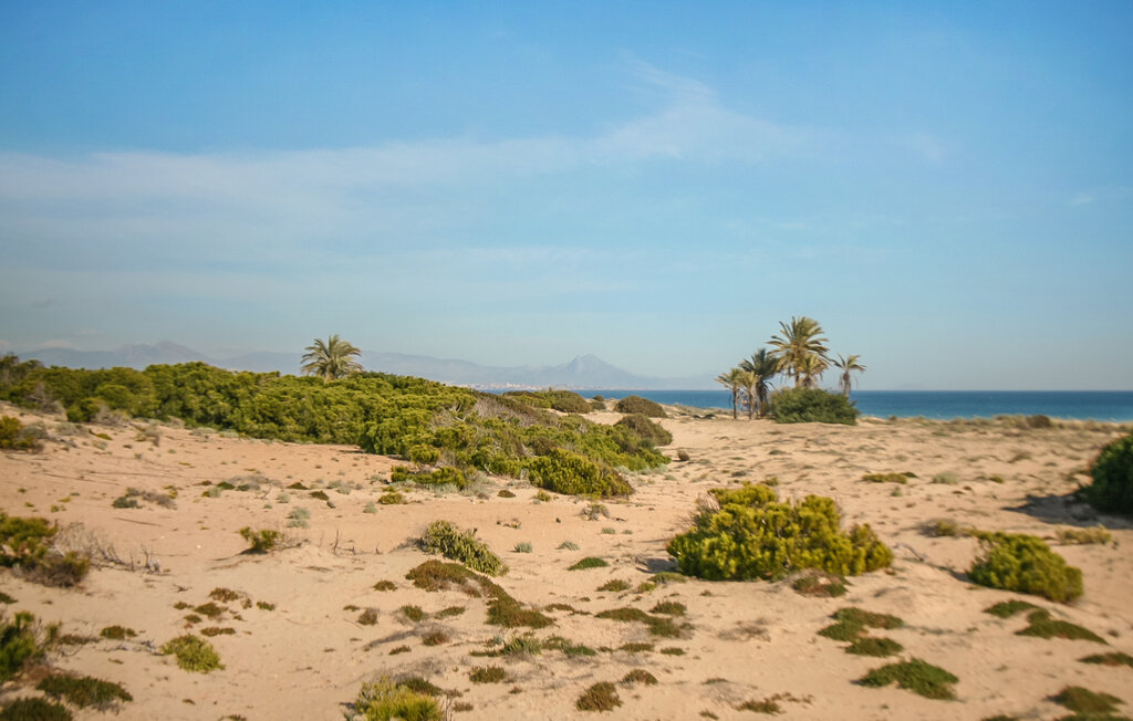 Apartment - Santa Pola , Spain - EBC199 17