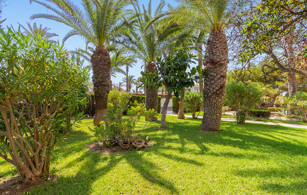 Apartment - Torrevieja , Spain - EBC213 13