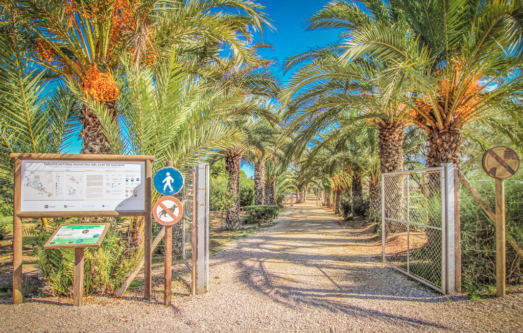 Ferienwohnung - Elche , Spanien - EBC246 19