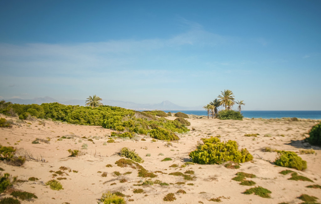 Lejlighed - Santa Pola , Spanien - EBI667 18
