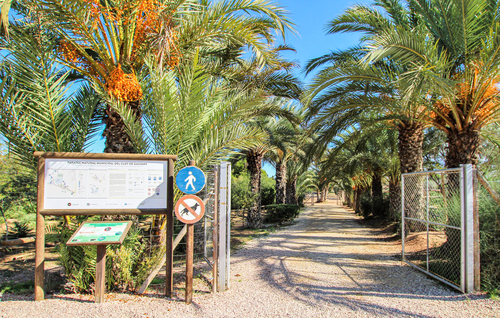 Ferienwohnung - Los Arenales del Sol , Spanien - EBI201 23