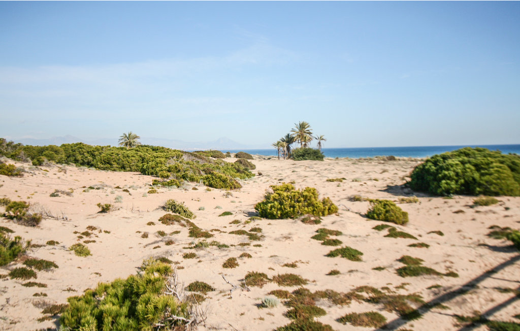 Ferieleilighet - Los Arenales del Sol , Spania - EBI475 20