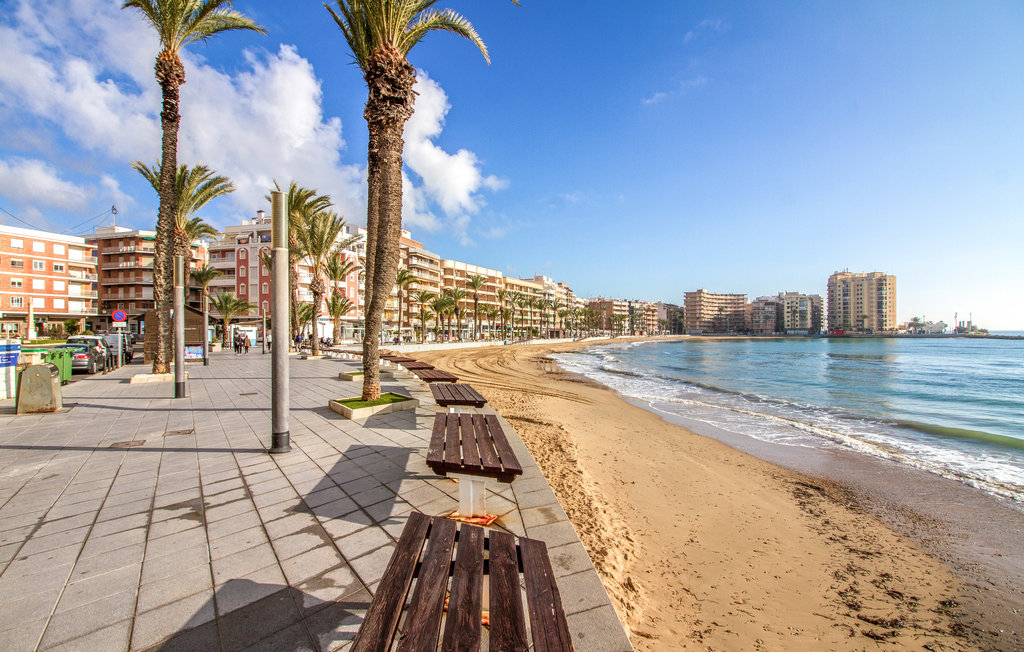 Lejlighed - Torrevieja , Spanien - EBI537 19