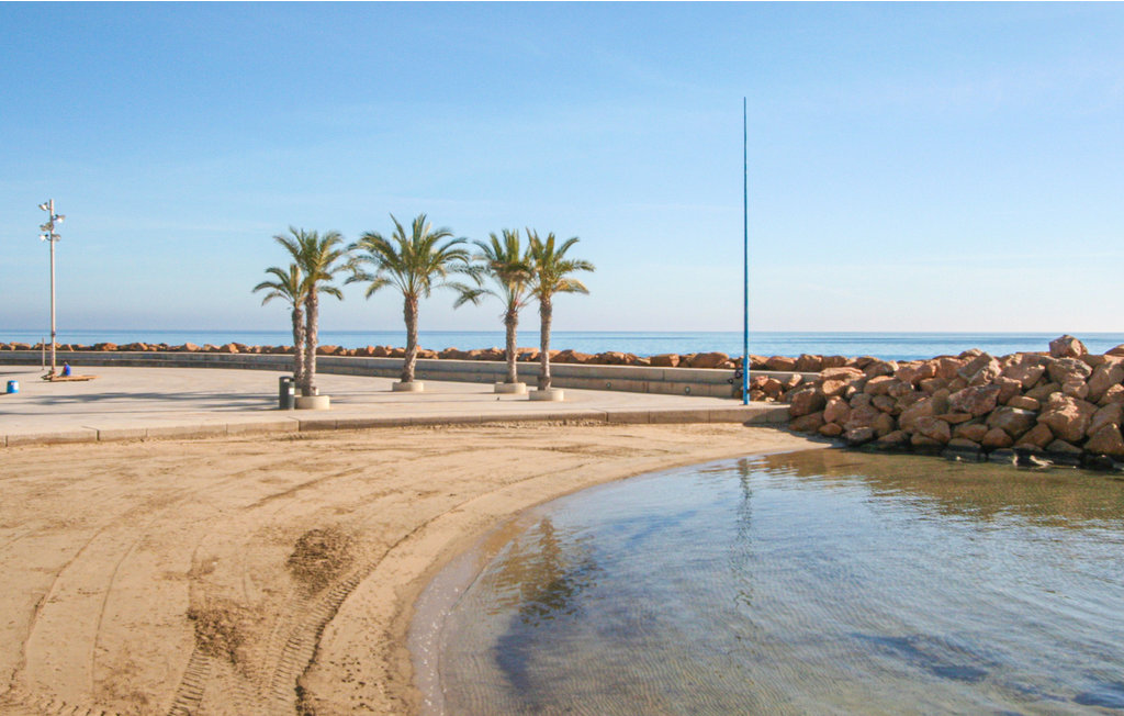 Lejlighed - Torrevieja , Spanien - EBI277 22