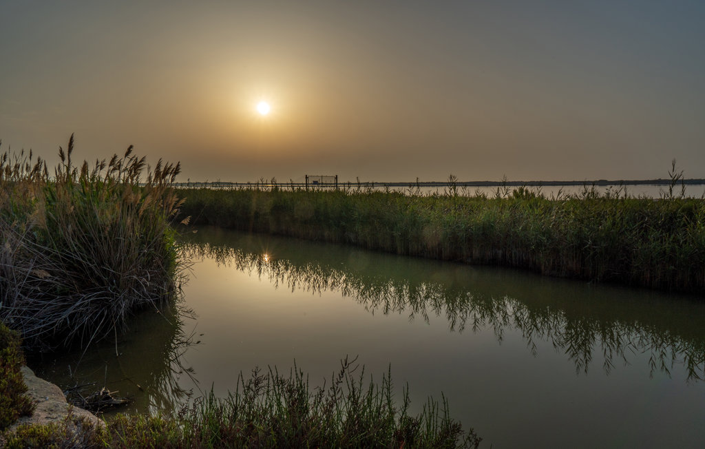 Lejlighed - Playa Levante , Spanien - EBI496 28