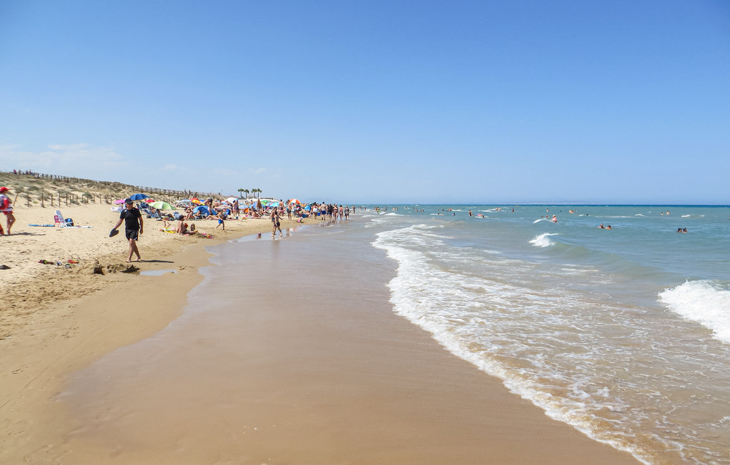 Ferienwohnung - La Mata - Torrevieja , Spanien - EBI678 21