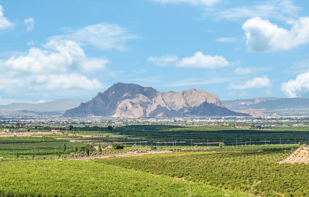 Lejlighed - Algorfa , Spanien - EBI505 19