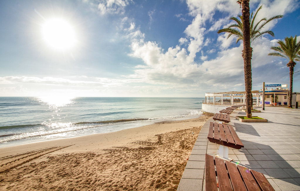 Lejlighed - Torrevieja , Spanien - EBI537 18