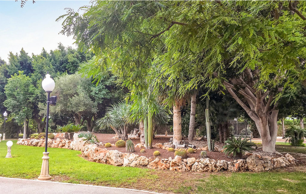 Location de vacances - Elche , Espagne - EBI828 8