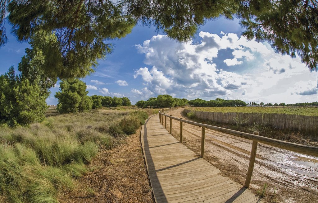 Semesterlägenhet - Torrevieja/La Mata , Spanien - EBL984 18