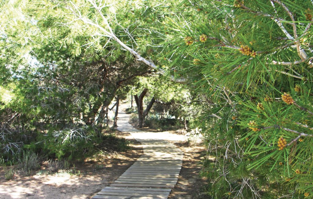 Ferienwohnung - Guardamar del Segura , Spanien - EBL659 21