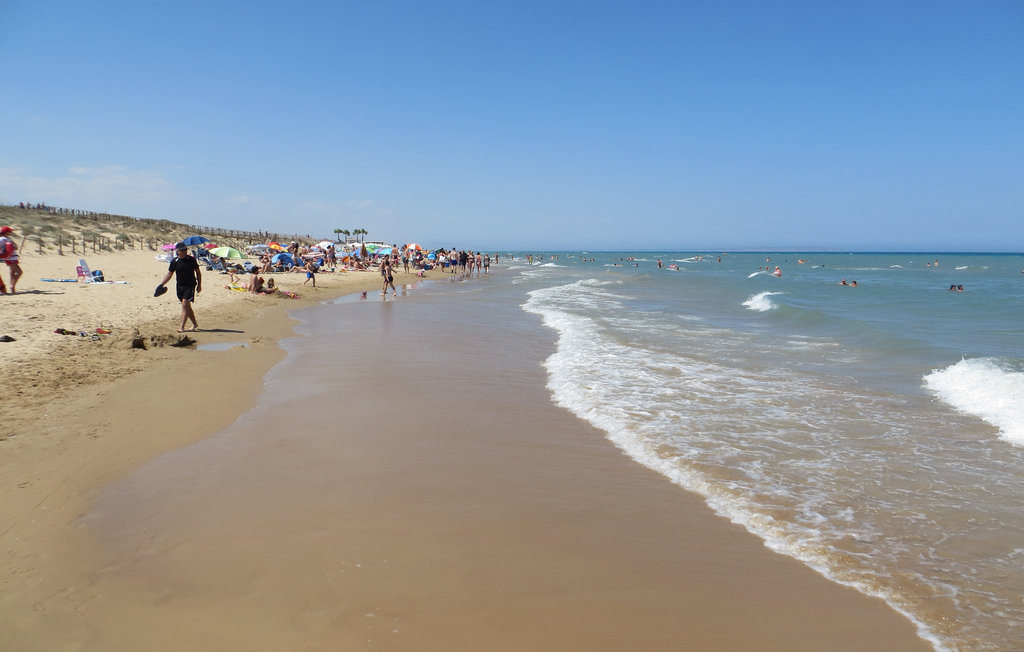 Lejlighed - Guardamar del Segura , Spanien - EBL281 26