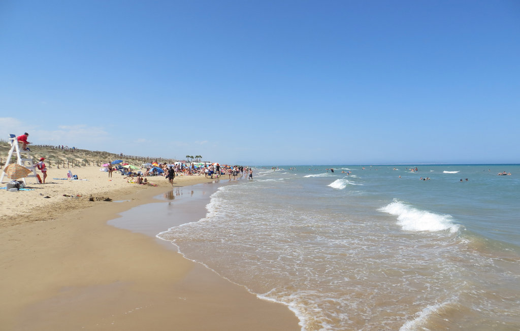 Lejlighed - Torrevieja , Spanien - EBL556 18