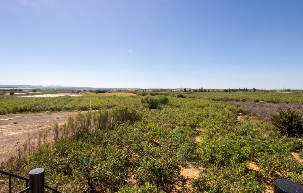 Lejlighed - Guardamar del Segura , Spanien - EBL281 20