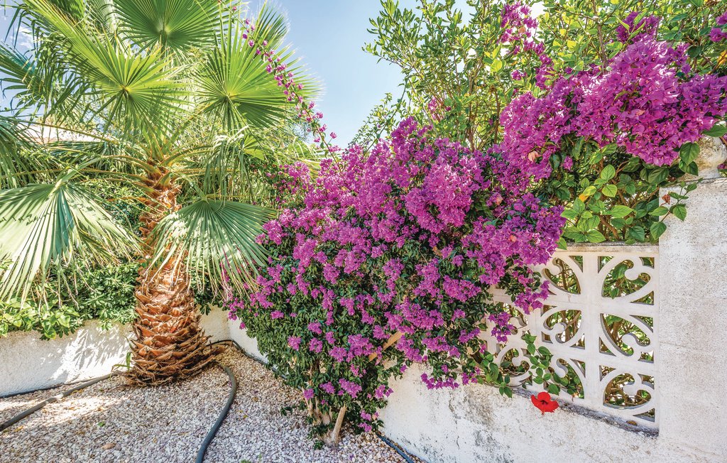 Feriehus - Torrevieja , Spania - EBL581 18