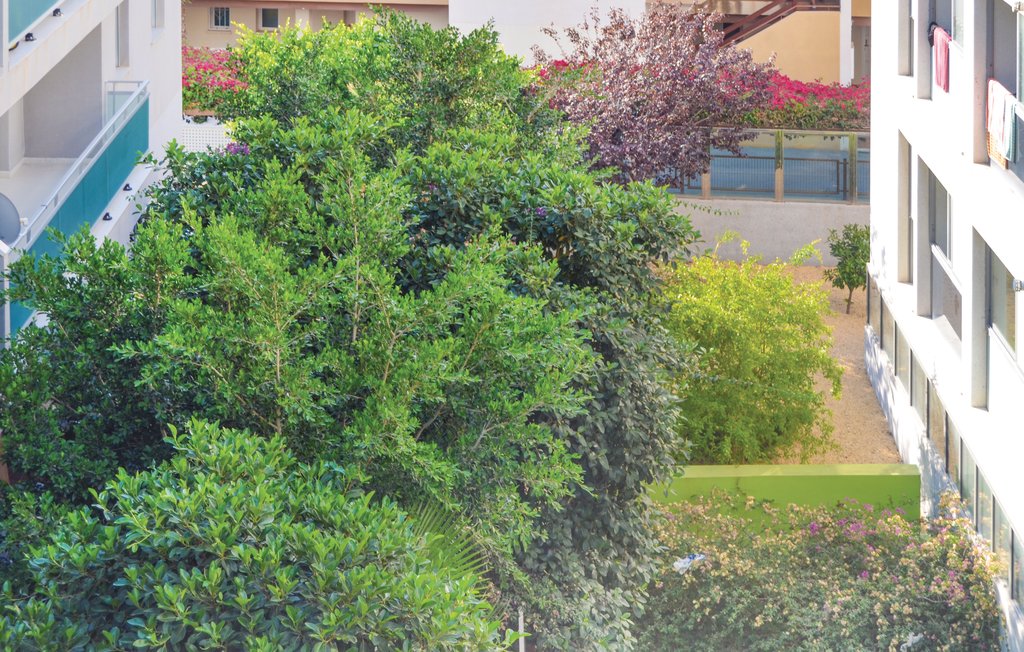 Ferienwohnung - Orihuela Costa/Cap Roig , Spanien - EBL014 15