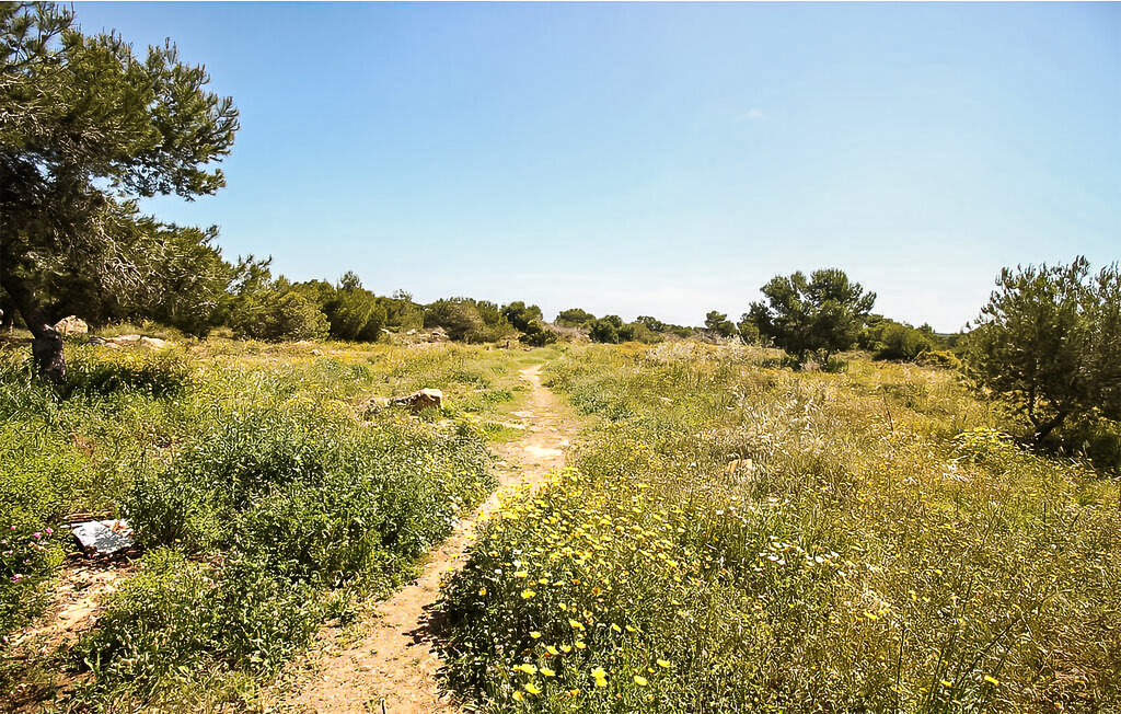 Ferienwohnung - Torrevieja , Spanien - EBL565 7