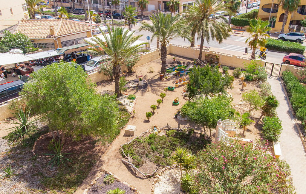 Lejlighed - Torrevieja/La Mata , Spanien - EBL700 12