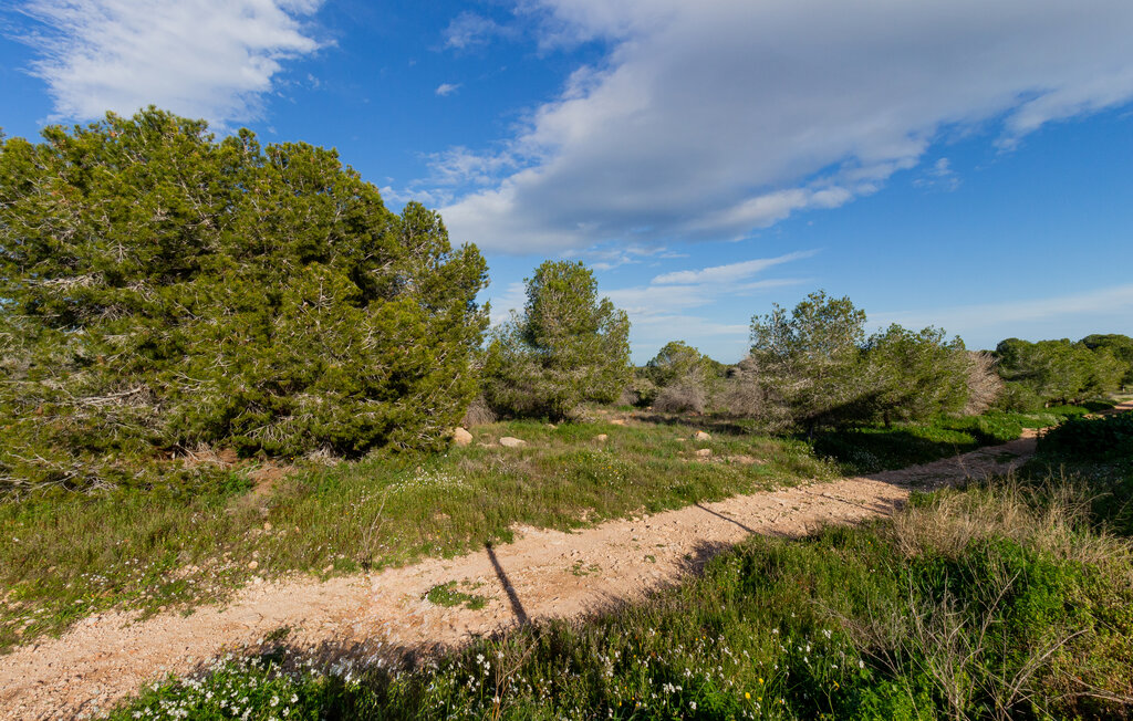 Semesterlägenhet - Torrevieja , Spanien - EBL557 22
