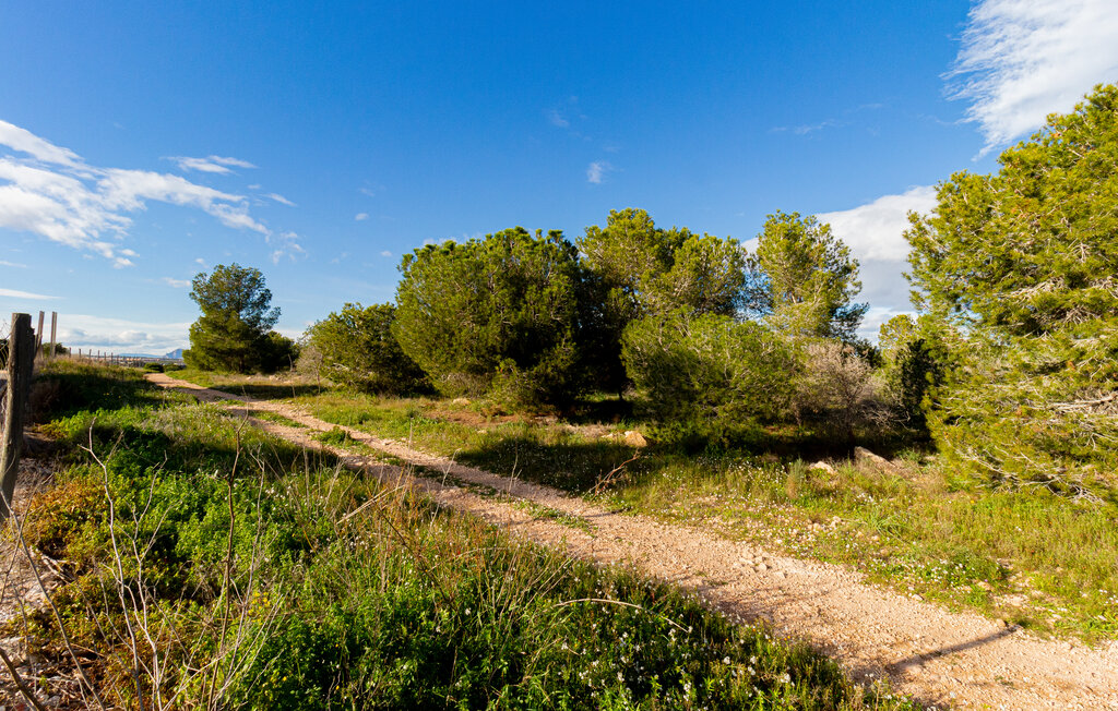 Semesterlägenhet - Torrevieja , Spanien - EBL557 23