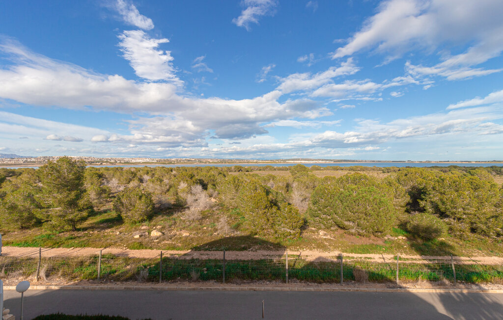 Semesterlägenhet - Torrevieja , Spanien - EBL557 8
