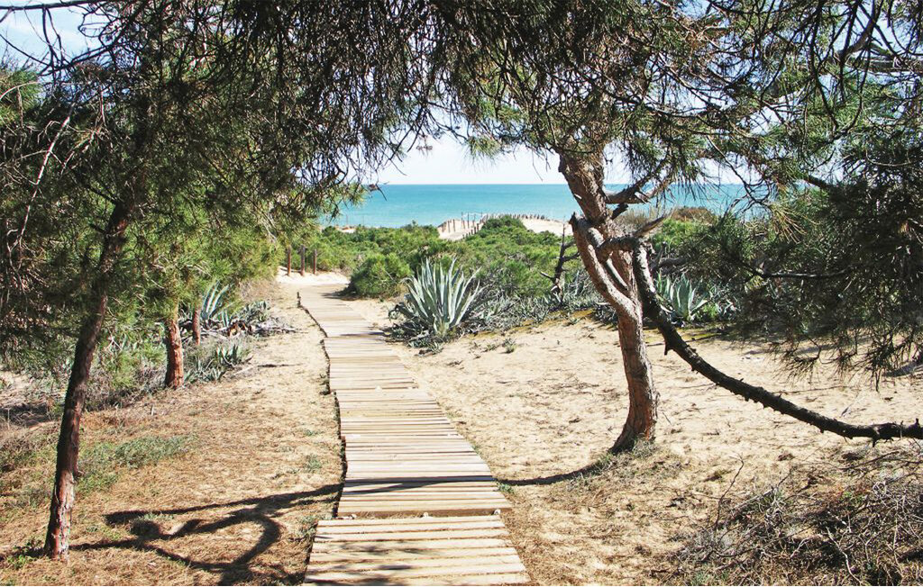 Ferienwohnung - Guardamar del Segura , Spanien - EBL659 18
