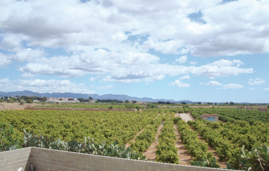 Semesterhus - Liria-Llíria , Spanien - EBV008 15