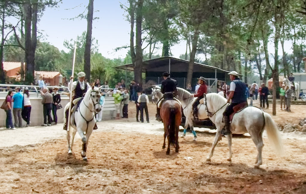Feriehuse - Villalonga , Spanien - EBV212 22